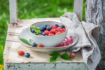 Freshly harvested blueberries and raspberries in the summer garden