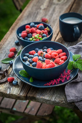 Healthy oat flakes for breakfast in summer garden