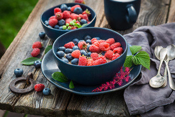 Delicious granola with fresh blueberries and raspberries