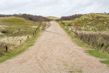 Fototapeta premium coastal dune scenery