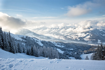 Fototapeta na wymiar Winter forest in Alps