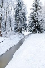 Frozen canal winter landscape with fir trees and heavy snow covering everything. Lutsk park. Ukraine.