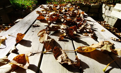 Verwelkte Blätter auf Gartentisch  ( Serie 5-teilig inkl. Schwarz-Weiß )