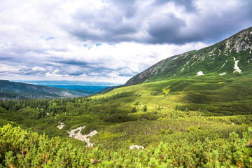Landscape of green mountain forest, panoramic view