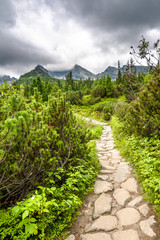 Fototapeta na wymiar Landscape of mountain hiking trail in nature, road in wilderness, green mountains