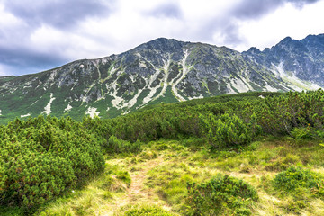 Fototapeta na wymiar Green foothills under mountain range, panoramic landscape