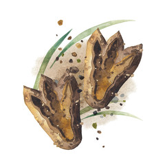 Watercolor dinosaur footprints © Ekaterina Glazkova