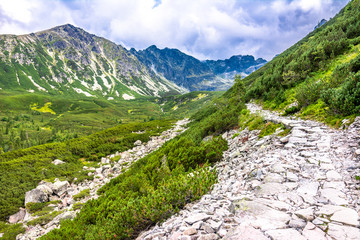 Fototapeta na wymiar Stone path in mountains, landscape of hiking trail over green valley with forest and mountain range in the sky