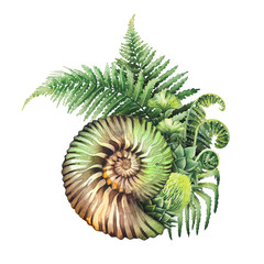 Prehistoric watercolor seashell and fern branches