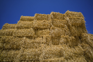 straw bales of straw