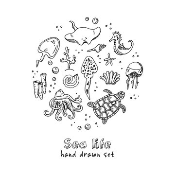 Hand drawn doodle sea life set.