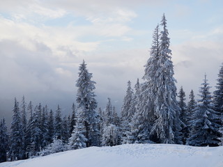 winter landscape with trees and mountains covered with snow and frost