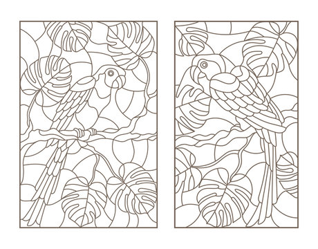Set contour illustrations with birds parrots and leaves of tropical plants, dark contours on white background