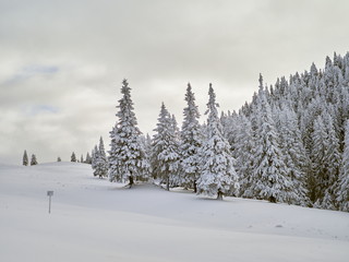 winter landscape with trees and mountains covered with snow and frost