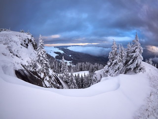 Fototapeta premium winter landscape with trees and mountains covered with snow and frost