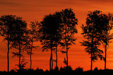 SUNSET -  Early sunny morning outside the city