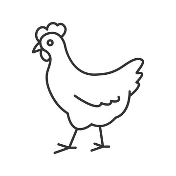 Chicken linear icon