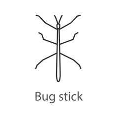 Stick bug linear icon