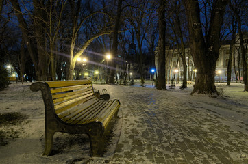 Winter morning in the Mariinsky park. Walking in the winter park along the empty curved alley with benches and lanterns at the sides. Kyiv. Ukraine