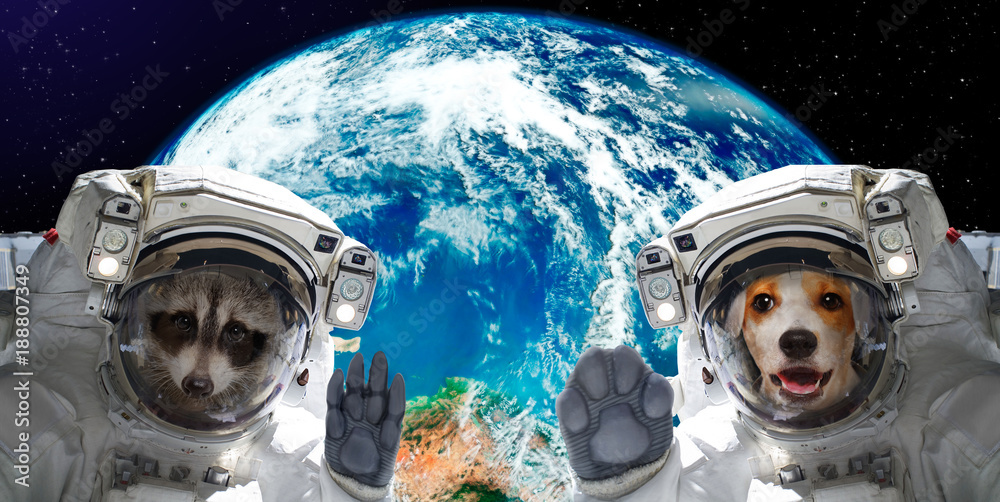 Poster portrait of a raccoon and dog astronauts on the background of the globe. elements of this image furn