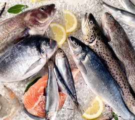 Fresh fish