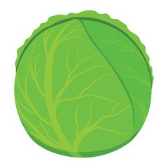 Cabbage icon