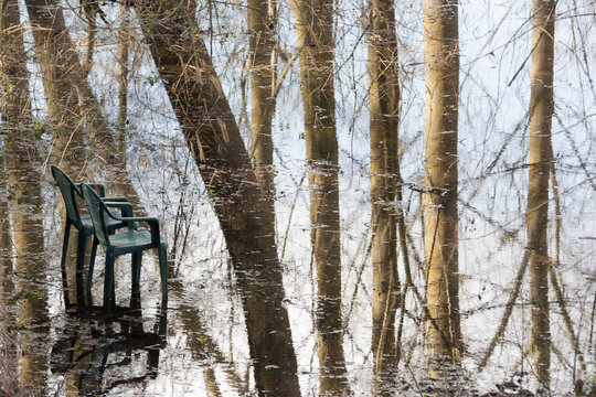 Deux chaises abandonn&eacute;es sous des peupliers inond&eacute;s
