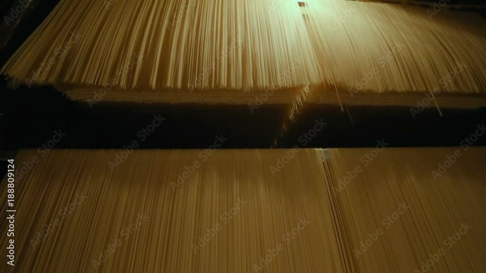 Wall mural food production of pasta or noodle closeup