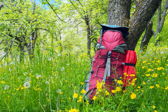 Red backpack stands on the green meadow