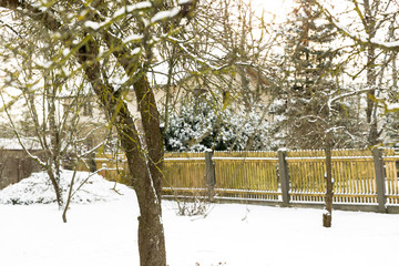 Backyard in snowy white winter. Snow all over the trees in garden