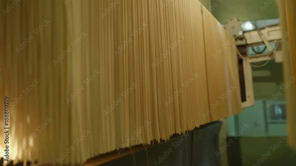 Wall mural food production of pasta or noodle closeup