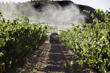 Vineyard tractor sprayer, c