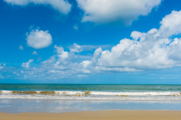 Cape Tribulation in Tropical North Queensland, Australia