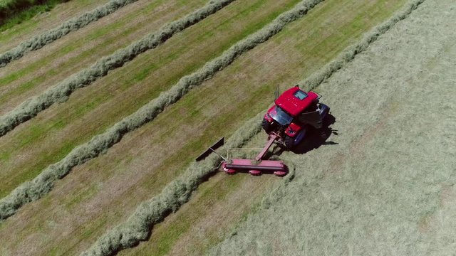 Aerial agricultural scene flight over grassland following red tractor which is lining up the dried grass getting it ready for pickup so it can be used as animal fodder summer day 4k high resolution