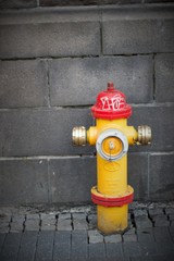 Bright fire hydrant in Reykjavik