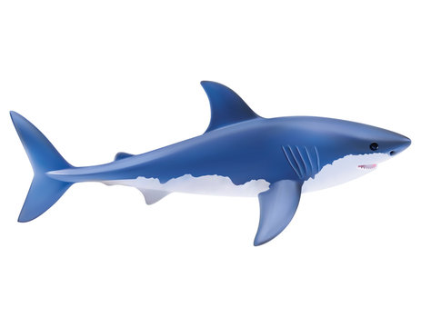 Shark isolated on white. realistic vector 3d illustration