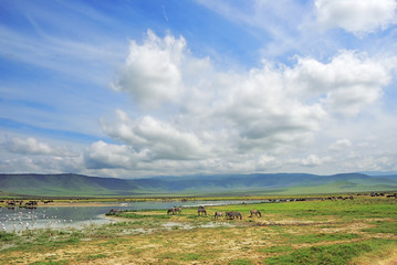 Ngorongoro crater scenery. Tanzania, Africa © Oleg Znamenskiy