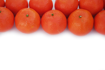 Tangerines in a row isolated on white background
