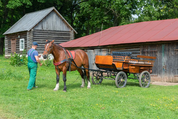 Fototapeta na wymiar Horse is prepared for horse walks in the park in the estate of Count Leo Tolstoy in Yasnaya Polyana in September 2017.