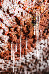 icicles hang on the surface of the rusty wall. The focus on the icicles