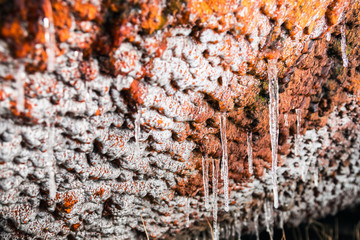 icicles hang on the surface of the rusty wall. The focus on the icicles
