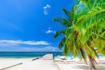 paradise beach beautiful white sand with palm tree in the resort of caribbean