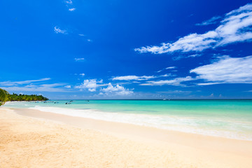Obraz na płótnie Canvas paradise beach beautiful white sand with palm tree in the resort of caribbean