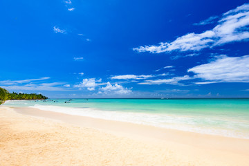 paradise beach beautiful white sand with palm tree in the resort of caribbean