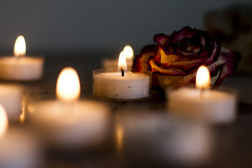 Tea Candles and Dried Rose