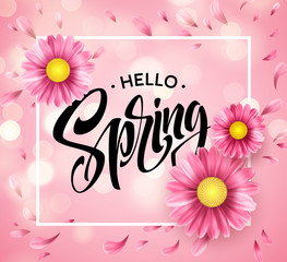 Daisy Flower Background and Hello Spring Lettering. Vector Illustration