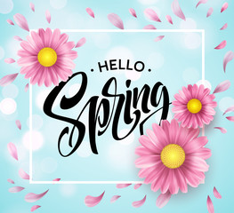 Daisy Flower Background and Hello Spring Lettering. Vector Illustration