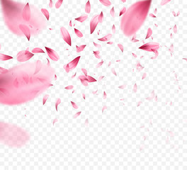 Obraz premium Różowe sakura spadające płatki tła. Ilustracji wektorowych