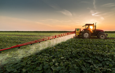 Tractor spraying pesticides on vegetable field with sprayer at spring - obrazy, fototapety, plakaty