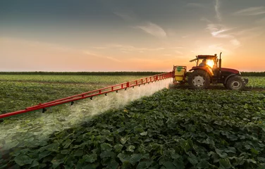 Crédence de cuisine en verre imprimé Tracteur Tractor spraying pesticides on vegetable field with sprayer at spring